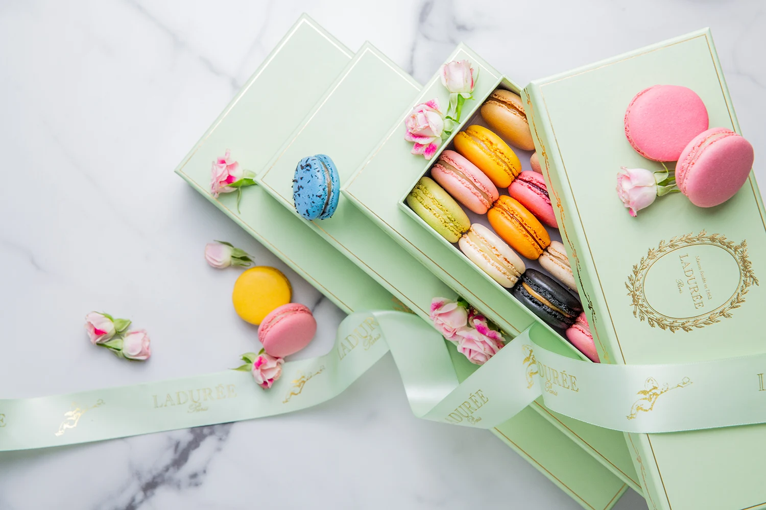 Macaron Gift Boxes 1