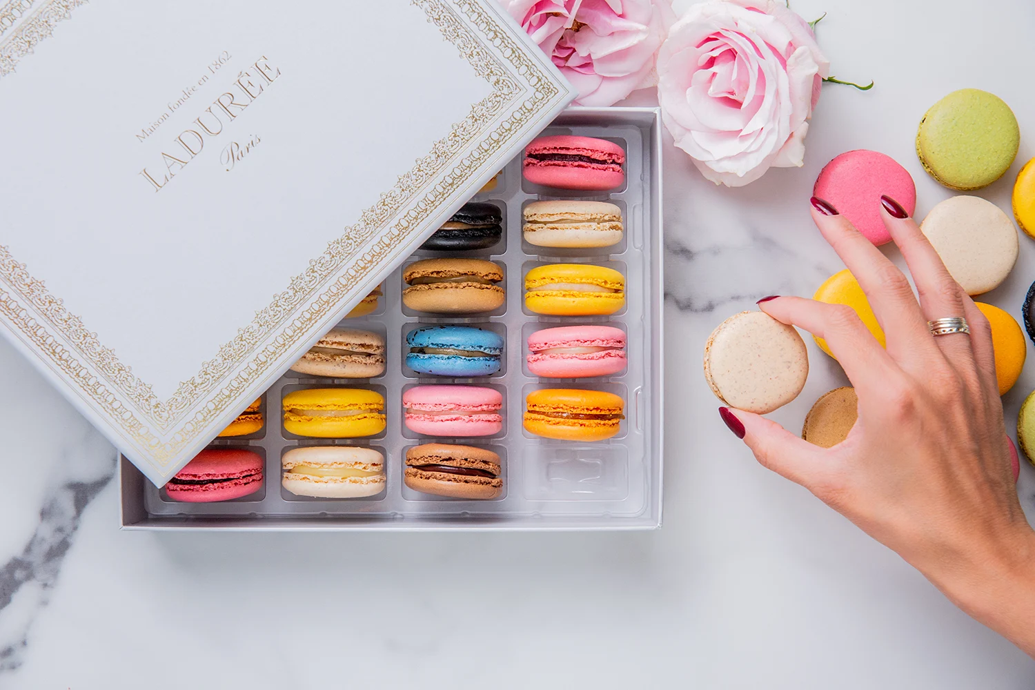 Macaron Gift Boxes 2