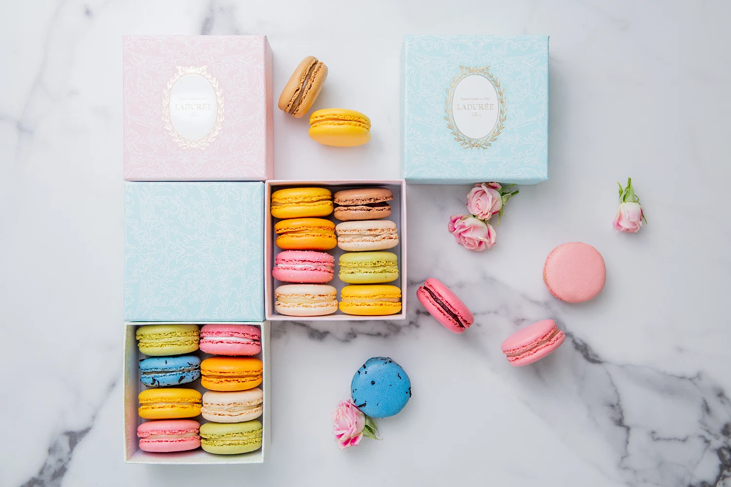 Macaron Gift Boxes 4