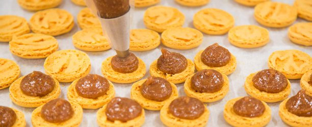 knowhowmacaronshell1