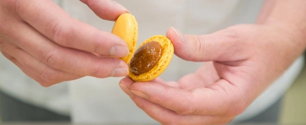 knowhowmacaronshell2