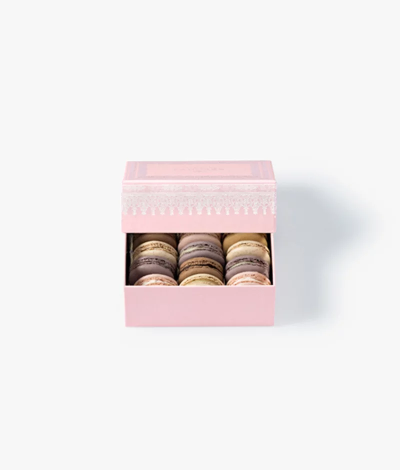 Napoleo12-Macarons_Gift-Box–Pink